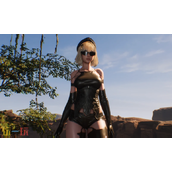 剑星系列书籍25怎样收集 系列书籍25收集经验分享