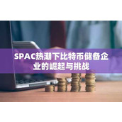 SPAC热潮下比特币储备企业的崛起与挑战