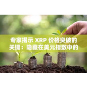 专家揭示 XRP 价格突破的关键：隐藏在美元指数中的明显信号