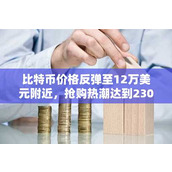 比特币价格反弹至12万美元附近 抢购热潮达到230亿美元