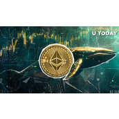 数小时内转移价值3.74亿美元的ETH，鲸鱼们意欲何为？