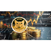 超过50万亿SHIB参与其中：接下来会发生什么？