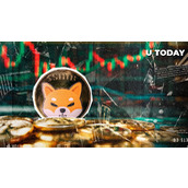 网络异常暴涨1054%的柴犬币（SHIB）：这意味着什么？