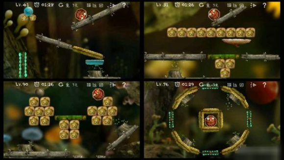 小甲虫回家