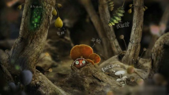小甲虫回家