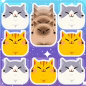 土耳其猫消除