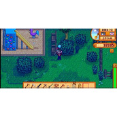 星露谷物语花舞节在哪举办 花舞节位置与玩法攻略