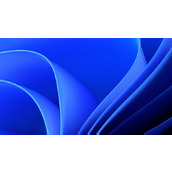 Win11如何加入预览体验计划？Win11加入预览体验计划的方法