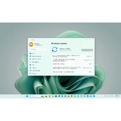 微软Windows 11内部版本22623.1250/22621.1250(KB5023008) 推送了！