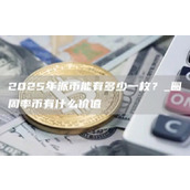 2025年派币能有多少一枚？ 圆周率币有什么价值