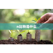 n比特是什么