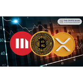 专家称真正的输家是Ripple，因其未建立XRP储备，而非Saylor的BTC策略