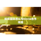 蚂蚁国际否认与Circle合作传闻
