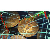 2019年莱特币减产后价格（莱特币最新利好消息