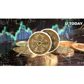卡尔达诺（Cardano）百万美元交易量突然激增，大动作即将来临？