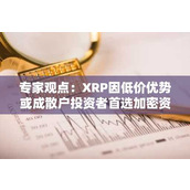 专家观点：XRP因低价优势或成散户投资者首选加密资产