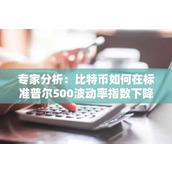 专家分析：比特币如何在标准普尔500波动率指数下降时展现独立性