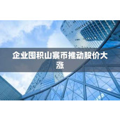 企业囤积山寨币推动股价大涨