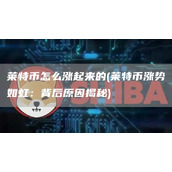 莱特币怎么涨起来的 - 莱特币涨势如虹：背后原因揭秘