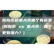 狗狗币和柴犬币哪个有前景 - 狗狗币 vs 柴犬币：哪个更有潜力？