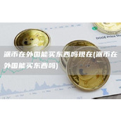 派币在外国能买东西吗现在 - 派币在外国能买东西吗