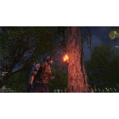 七日世界消失的商队任务流程攻略一览