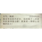 哈利波特禁林丹尼尔的选择手记攻略 丹尼尔的选择四条路线全收集