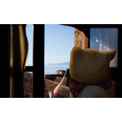 以太坊在哪些软件能购买？以太坊交易软件盘点及购买教程