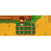 星露谷物语怎么快速发展-星露谷物语快速发展攻略分享