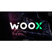 WOO X 遭黑客攻击损失1400万美元，暂停提款