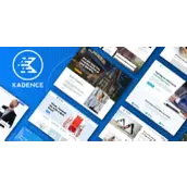 Kadence Theme Pro v1.1.14 完整汉化版    Kadence 主题高级插件