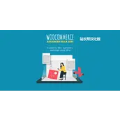 WooCommerce Advanced Bulk Edit v5.5.3.4 汉化版    批量编辑插件
