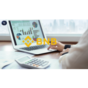 BNB以12亿美元需求领跑机构竞赛，超越ETH