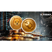 SHIB团队揭秘Big BONE的"秘密"