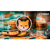 近800,000,000,000,000枚柴犬币(SHIB)：一切归零