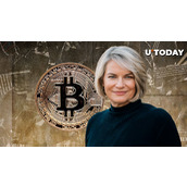 比特币对每个美国人都至关重要，参议员卢米斯发表大胆BTC声明