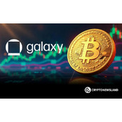 银河数码完成从一位中本聪时代投资者手中出售8万枚比特币，交易额达90亿美元，市场低迷已结束