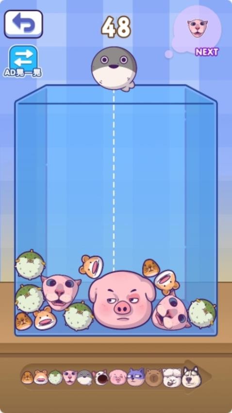 西瓜传奇