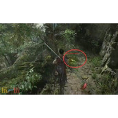 明末渊虚之羽蜀神庇护有哪些获取途径 法术效果说明​