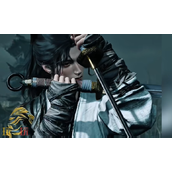 燕云十六声双刀搭配什么武器 双刀搭配武器推荐