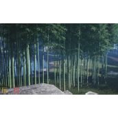 燕云十六声建造材料怎么刷 建造材料速刷攻略