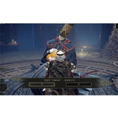 艾尔登法环90级法师怎么加点 艾尔登法环90级法师加点玩法指南