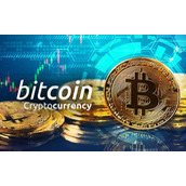 维卡币中文教学网 - 维卡币中文网站