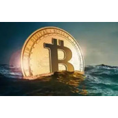 比特币交易量 - 比特币交易量是其他