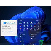 windows11怎么分屏 win11电脑左右分屏的步骤