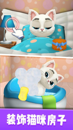 我的猫奥斯卡