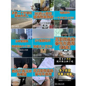 抖音IP 干倒闭了。
