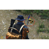 人渣SCUM警察点位置在哪 警察点位置一览