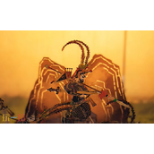 燕云十六声皮影师幕落无伤怎么打 鬼神愁无伤逃课打法教程