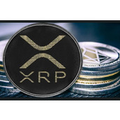 专家对XRP持有者表示：接下来的48小时非同寻常